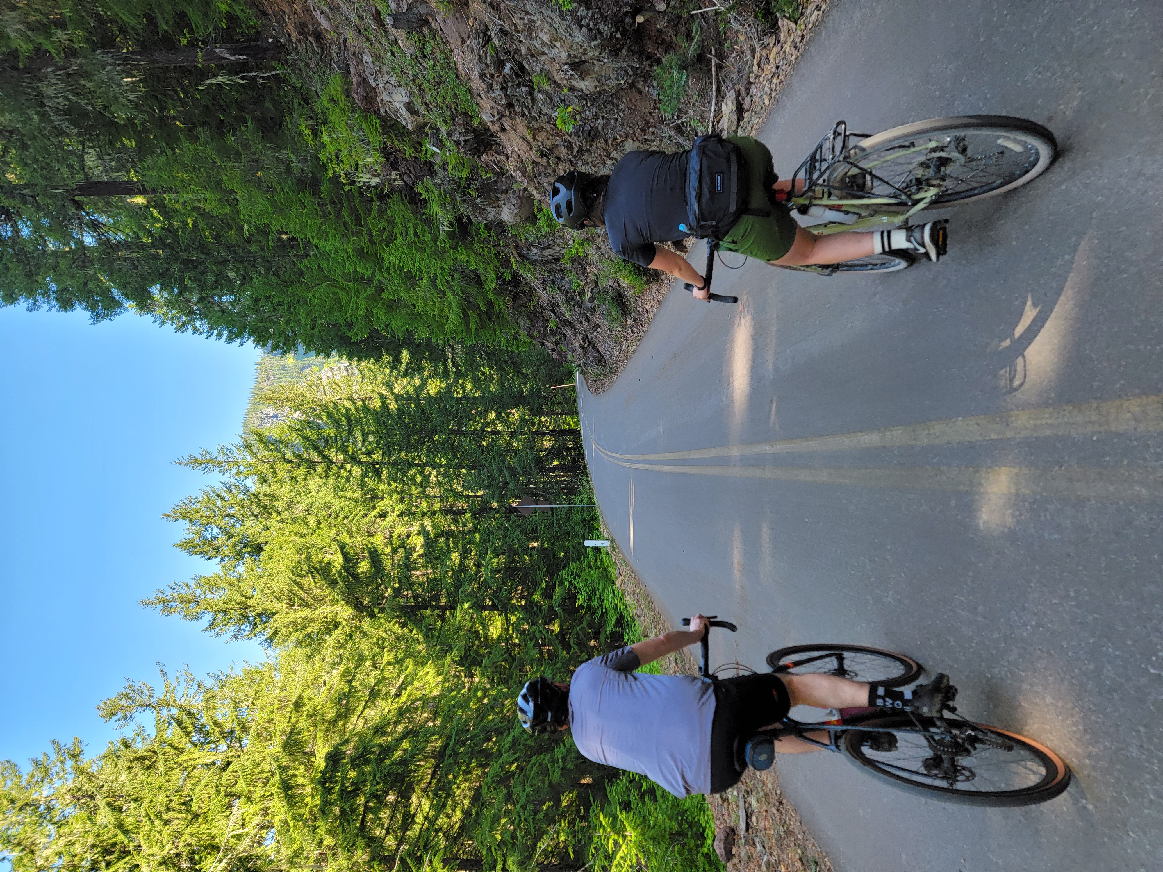 A picture taken from behind of 2 ciclist biking up the McKenzie Pass, surrounded by green trees and a blue sky